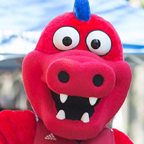 Title Override capability